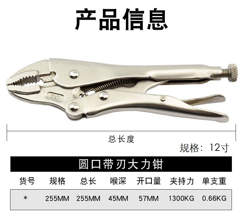 12寸.jpg